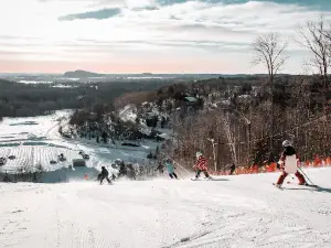 Vallée du Parc