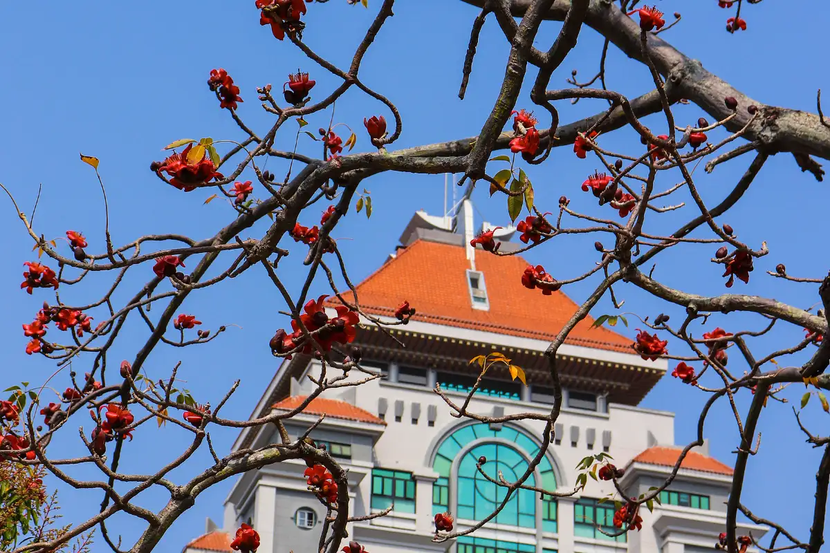 Xiamen University Area