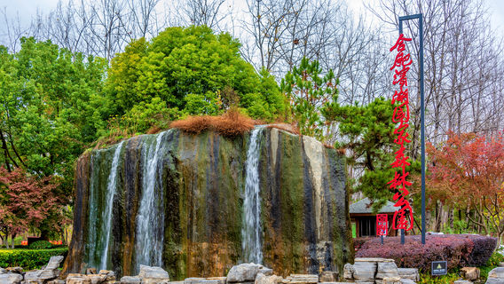 Binhu Forest Wetland Park