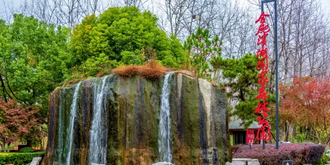 合肥濱湖國家森林公園