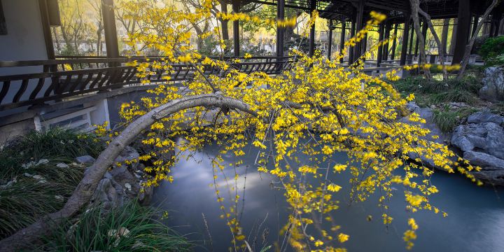 Qing Yan Park