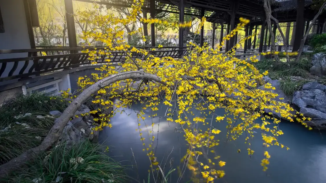 청연원(칭옌위안) 주변 호텔
