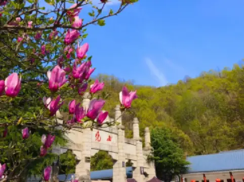 핑딩산의 인기 봄꽃 명소