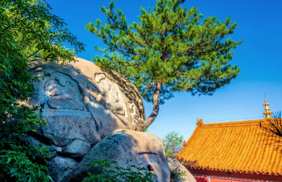 海棠山風景區門票成人