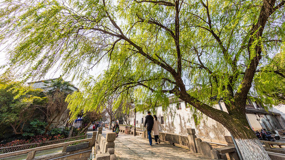 Citywalk in Suzhou