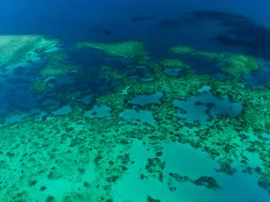 Moore Reef