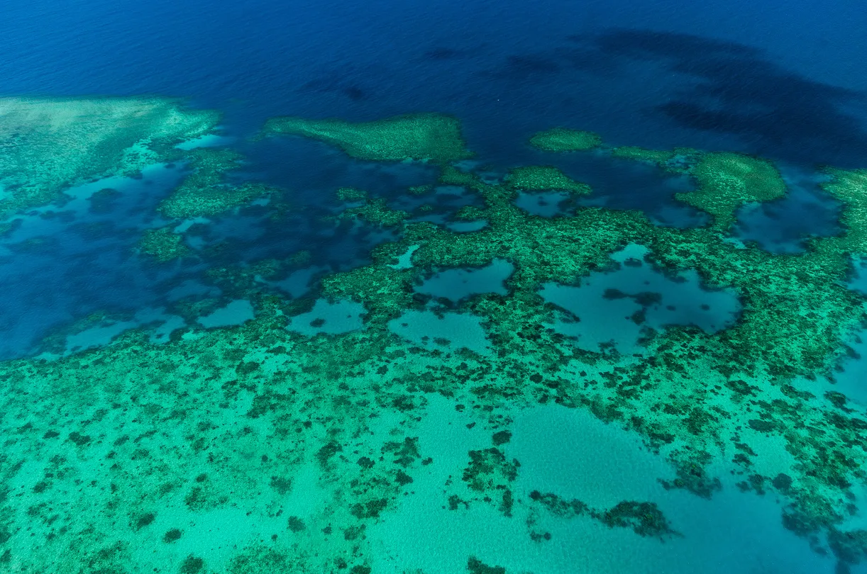 3_Moore Reef