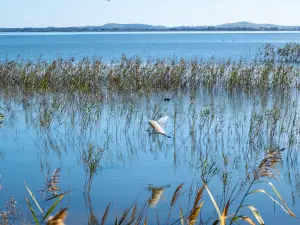 Lake Colac
