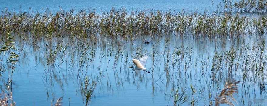 Lake Colac