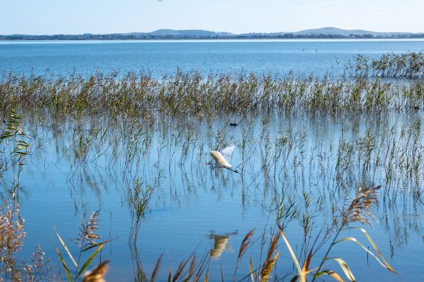 Lake Colac
