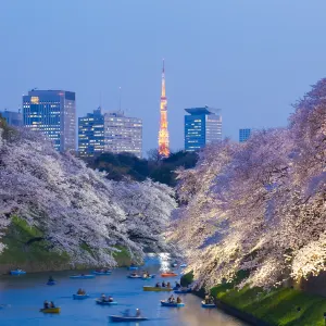 千鳥ヶ淵