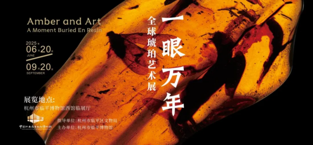 《一眼萬年》全球琥珀藝術展 | 杭州市臨平博物館