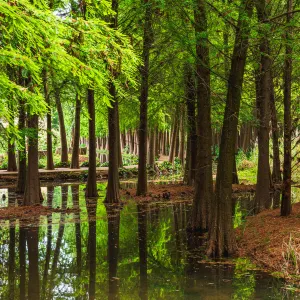Laoyuhe Wetland Park