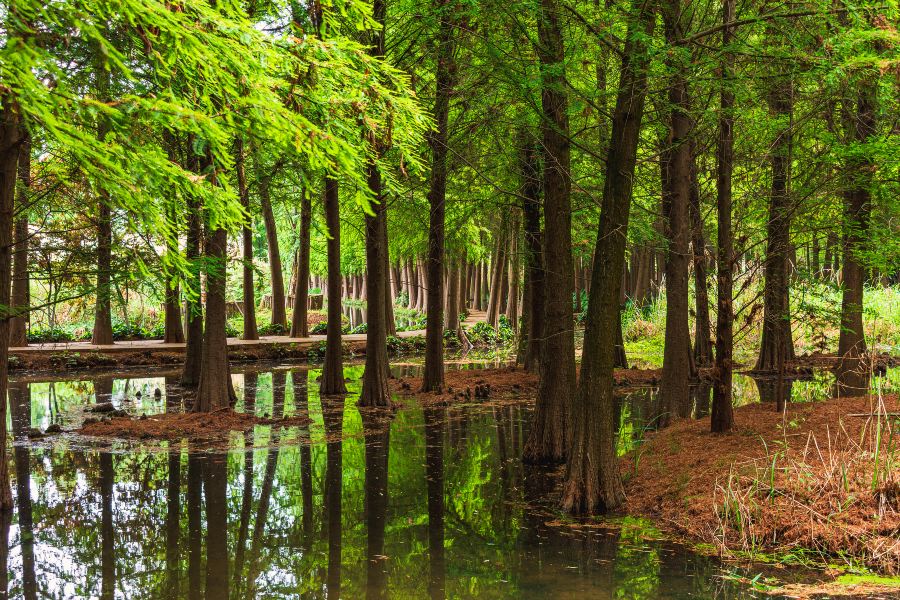 撈漁河國家濕地公園