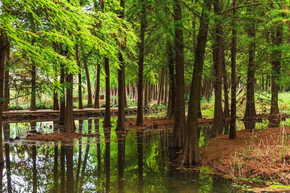 Hotels near Laoyuhe Wetland Park