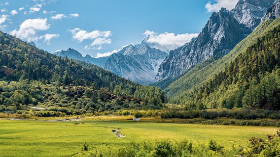 dao cheng ya ding - zha guan beng