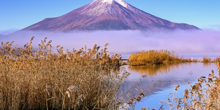 Lake Yamanaka