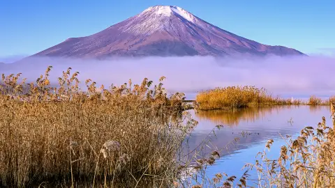 Minami-Alps Travel Guide 2026: Top Attractions, Things to do