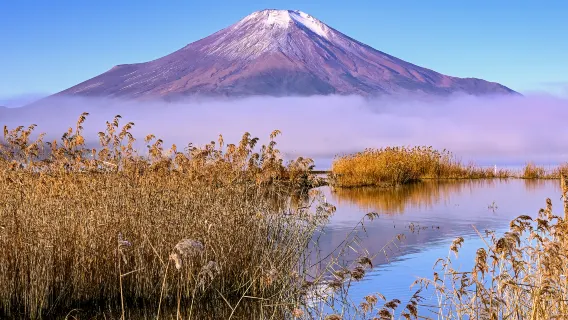玩水避暑