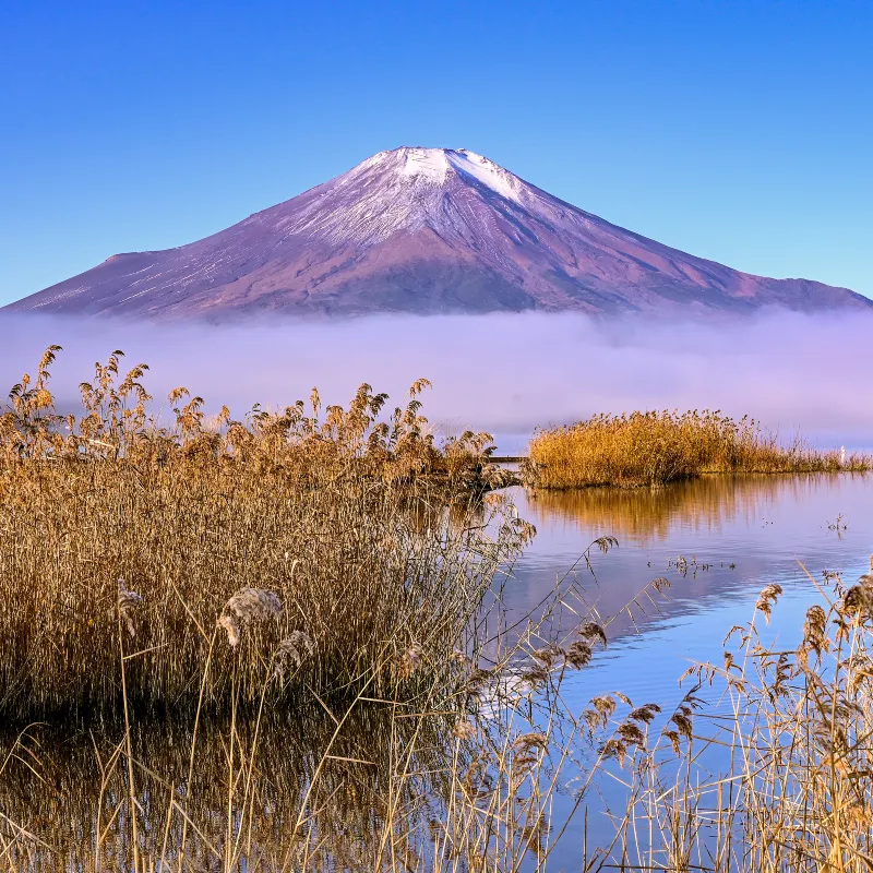 山中湖