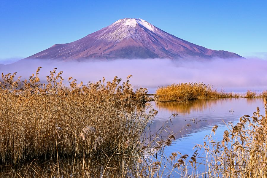 山中湖