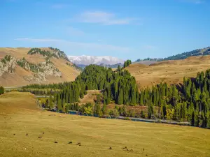 Tangbula Grassland