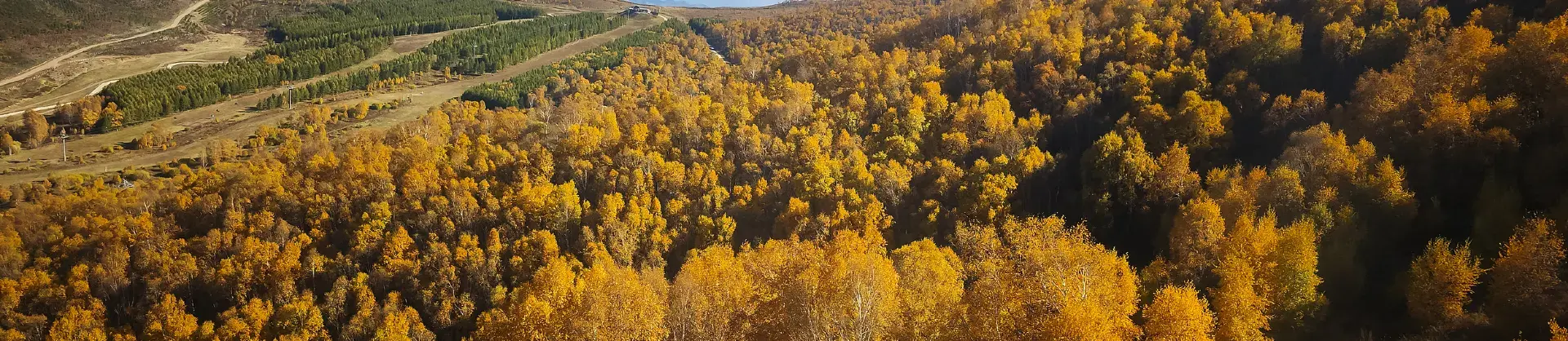 Fall Viewing Attractions