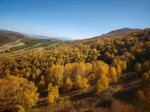 Top 10 Fall Viewing Attractions in Zhangjiakou