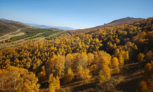 Thaiwoo Ski Resort
