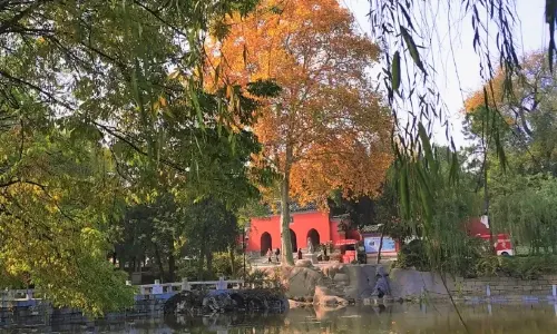 Wolong Hill