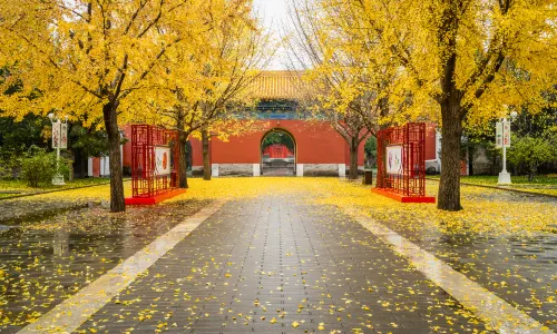 Zhongshan Park