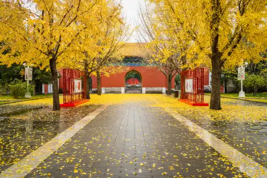 鄰近中山公園的酒店