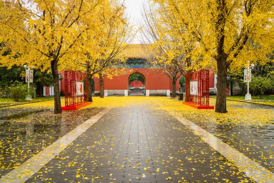 2_Zhongshan Park