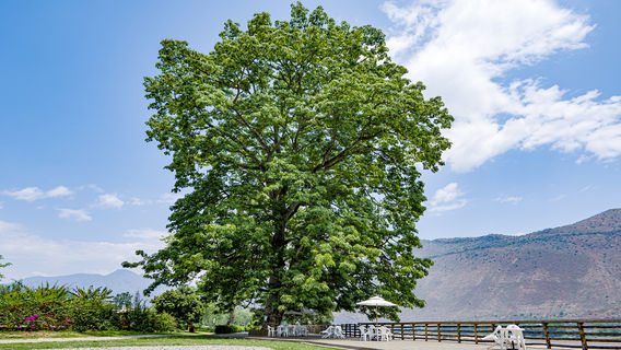 Remote Village · Gaoligong Menghe Town