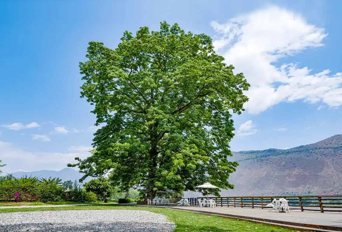 Hotels near Remote Village · Gaoligong Menghe Town