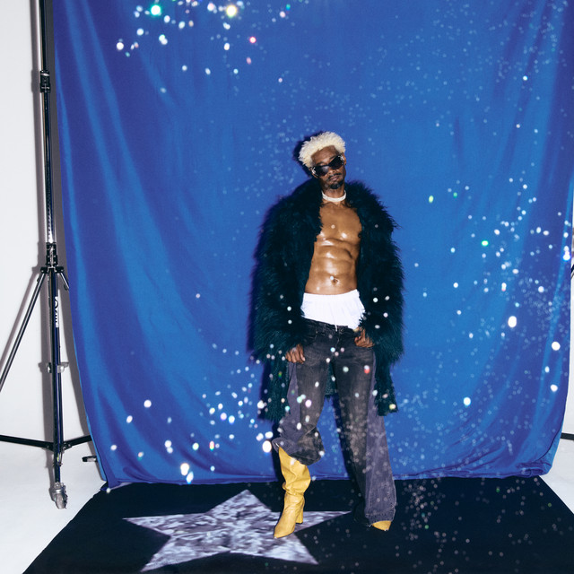 ウールルーンガーバ | Danny Brown《Stardust》ツアー | The Princess Theatre