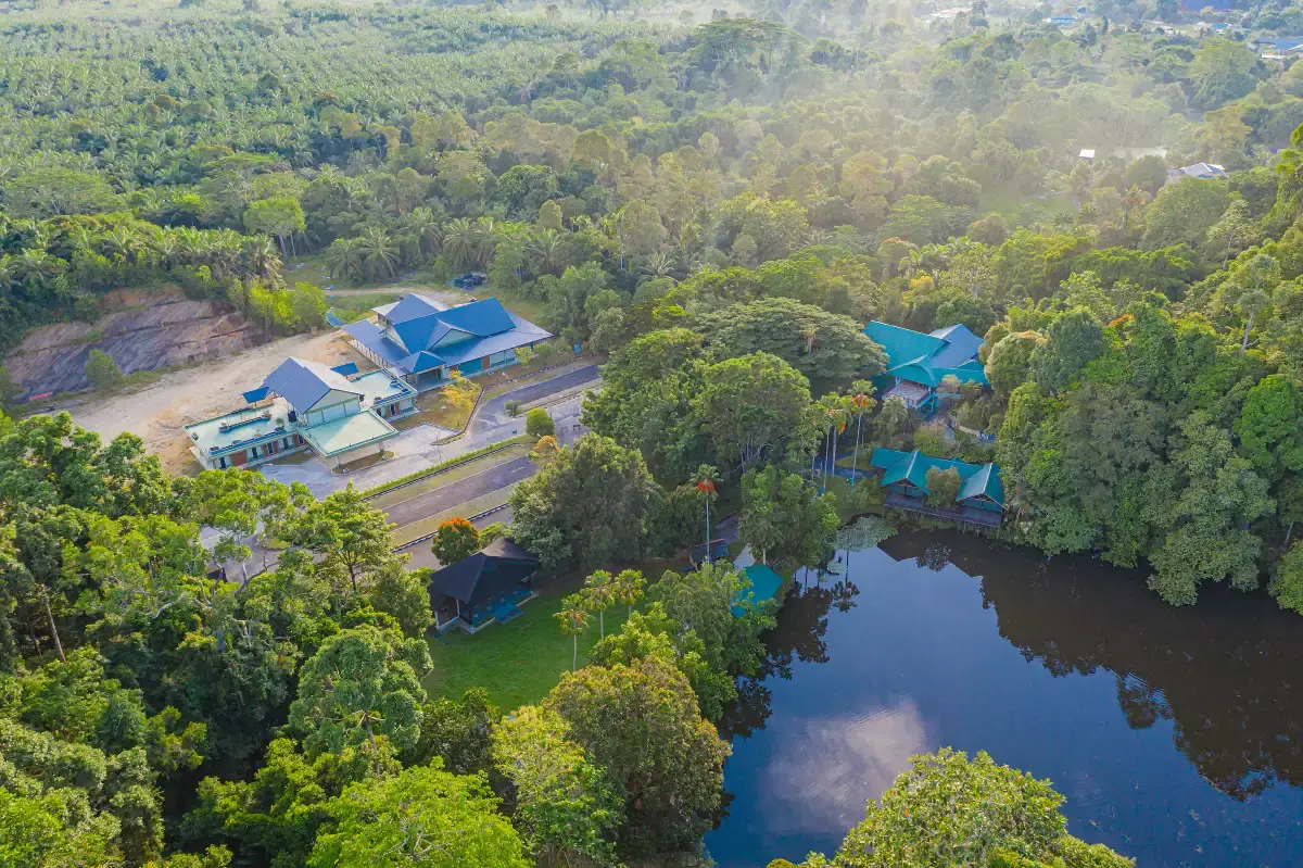 Rainforest Discovery Centre (RDC)