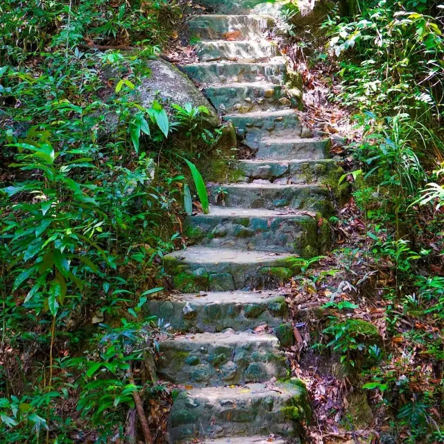 Penang National Park