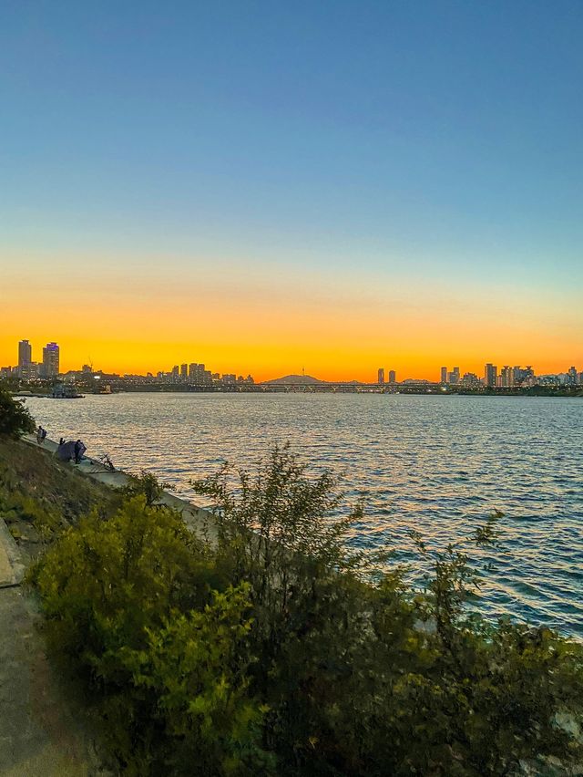 봄에는 한강공원 ٩꒰｡•◡•｡꒱۶