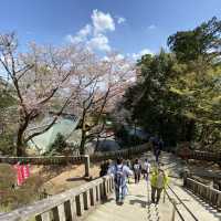 春の高尾山