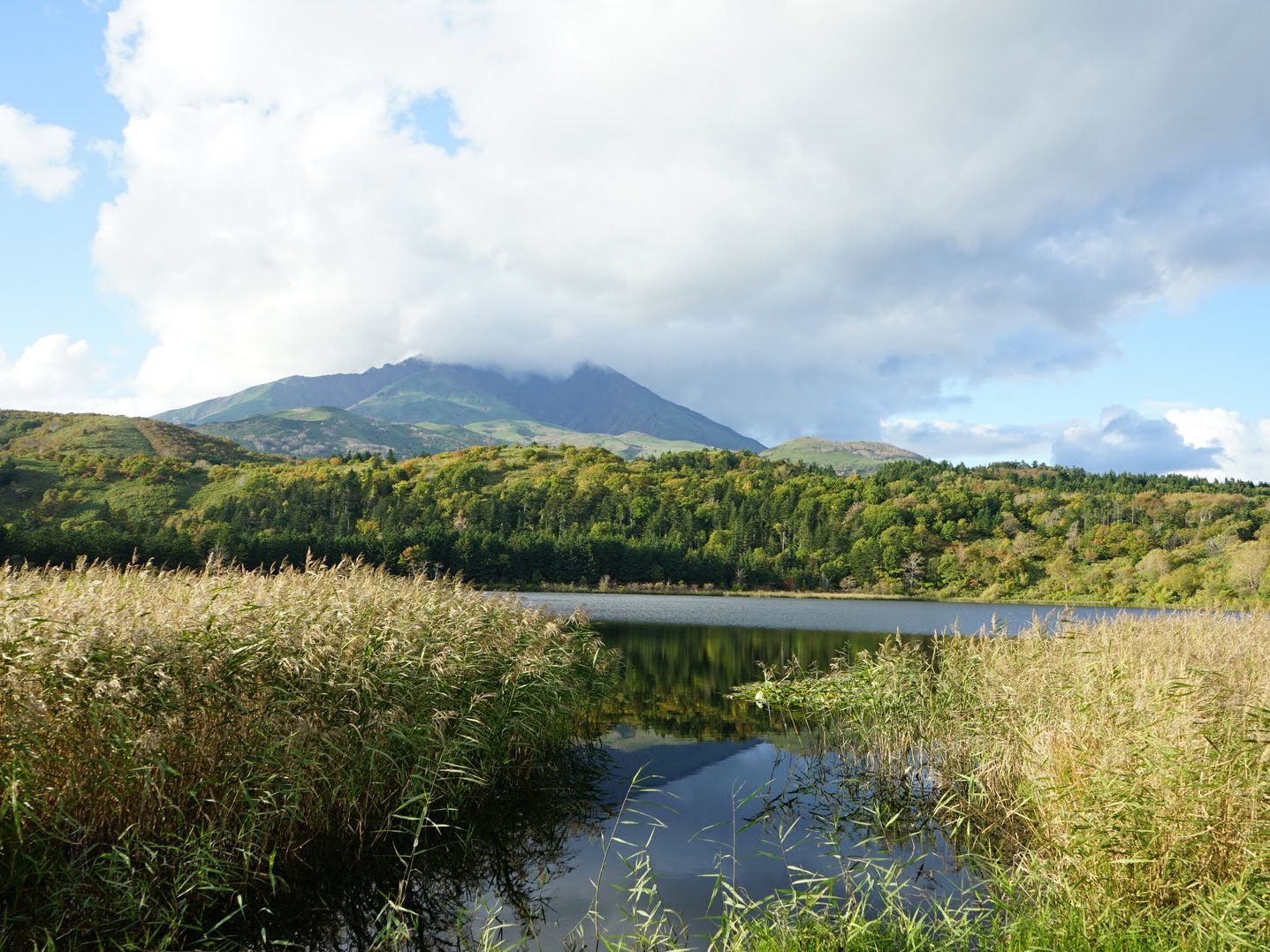 紅葉の南浜湿原 Trip Com 利尻富士町の旅のブログ