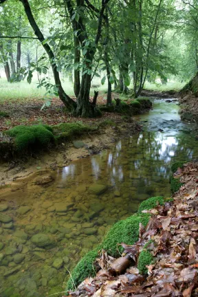 Vé máy bay đi Ibaraki