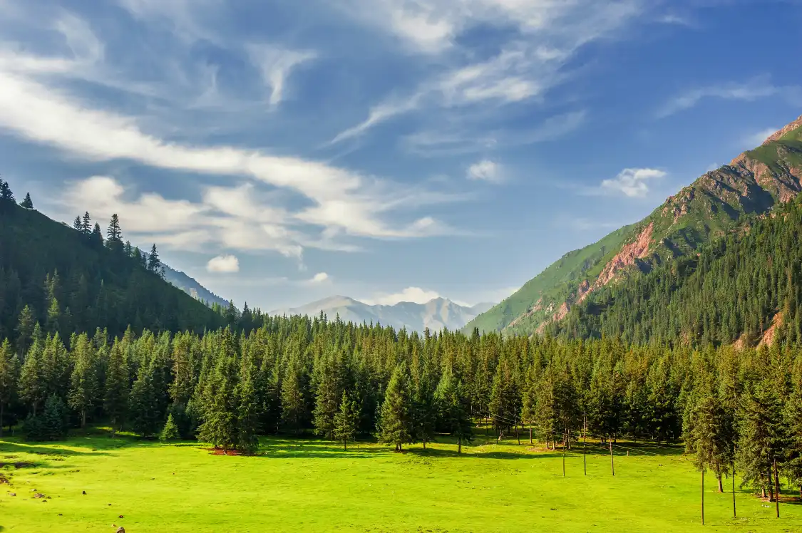 Các khách sạn gần Qilian Mountain Grassland