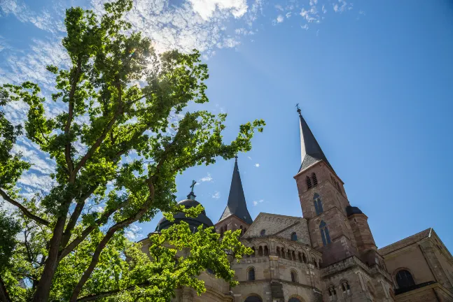 Отзывы об отеле AC Hotel Mainz