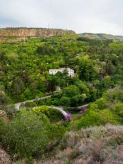 Giardino botanico nazionale della Georgia