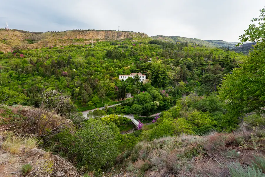 Botanischer Garten Tbilisi