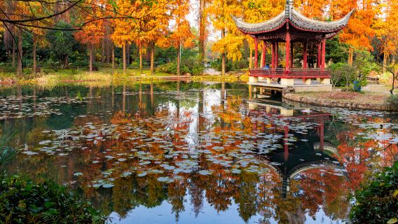 湖北美術館+武漢植物園+古德寺+義大利風情街一日遊