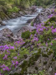 Yulian Waterfall