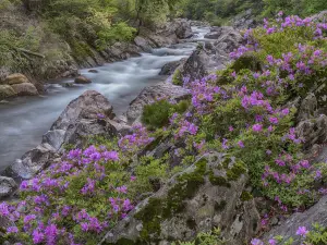 Yulian Waterfall