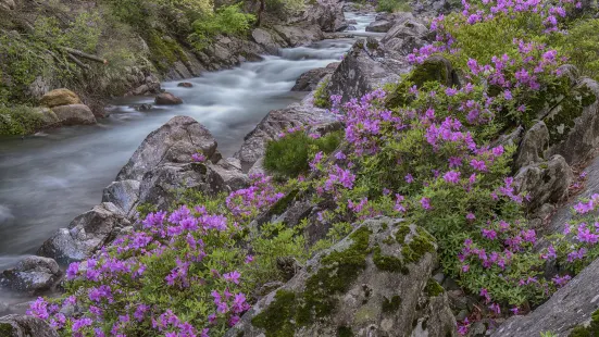 Yulian Waterfall